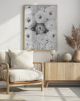 Poster - Singular ranunculus gray