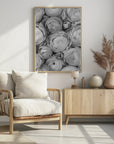 Poster - Gray ranunculus