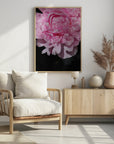 Poster - Pink peony V