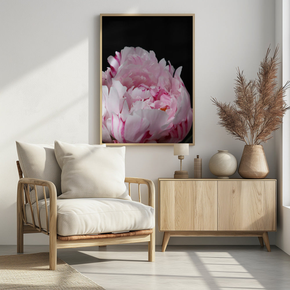 Poster - Pink peony VIII