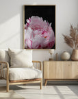 Poster - Pink peony VIII