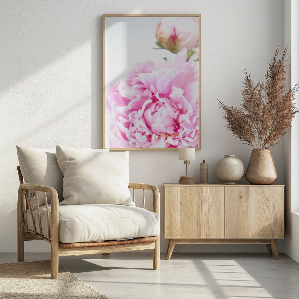 Poster - Pink peony IX