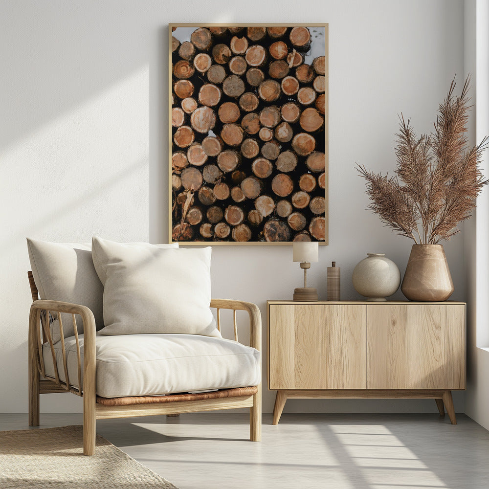 Poster - Wood Logs 02