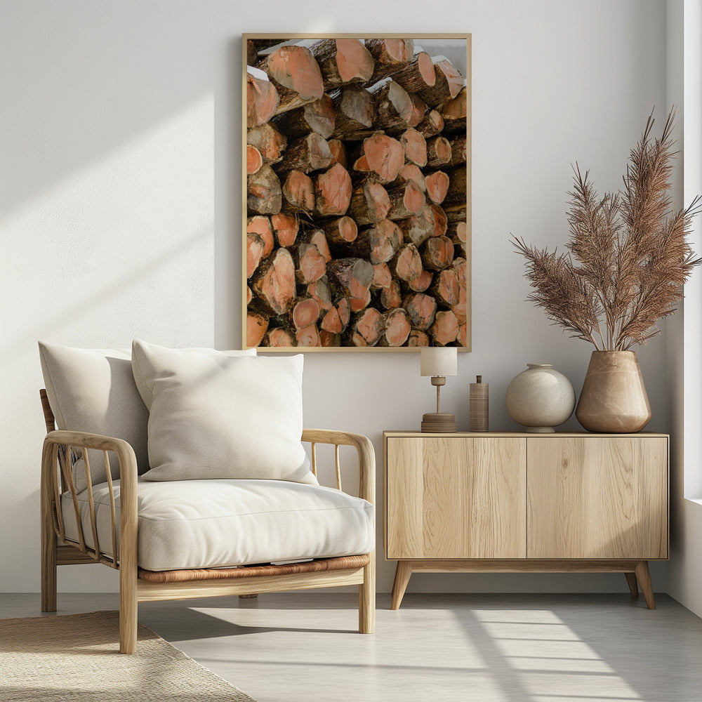 Poster - Wood Logs 01