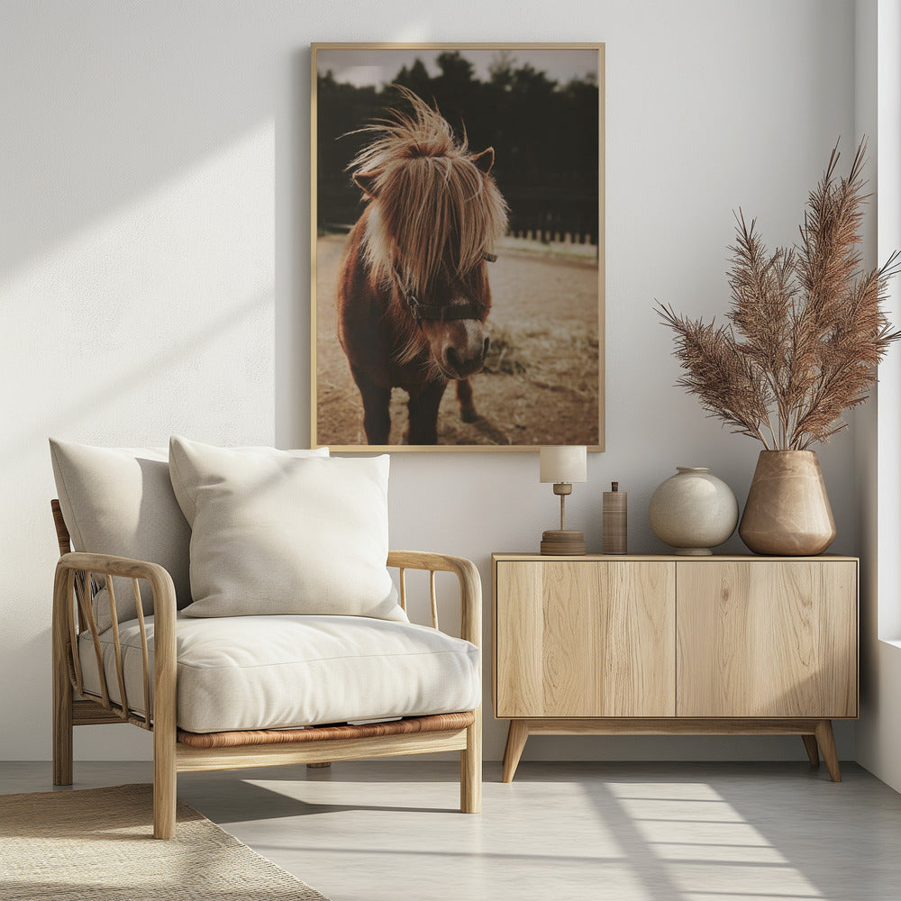 Poster - Small Horse