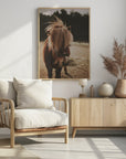 Poster - Small Horse