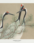 Plakat - Cranes From Momoyogusa