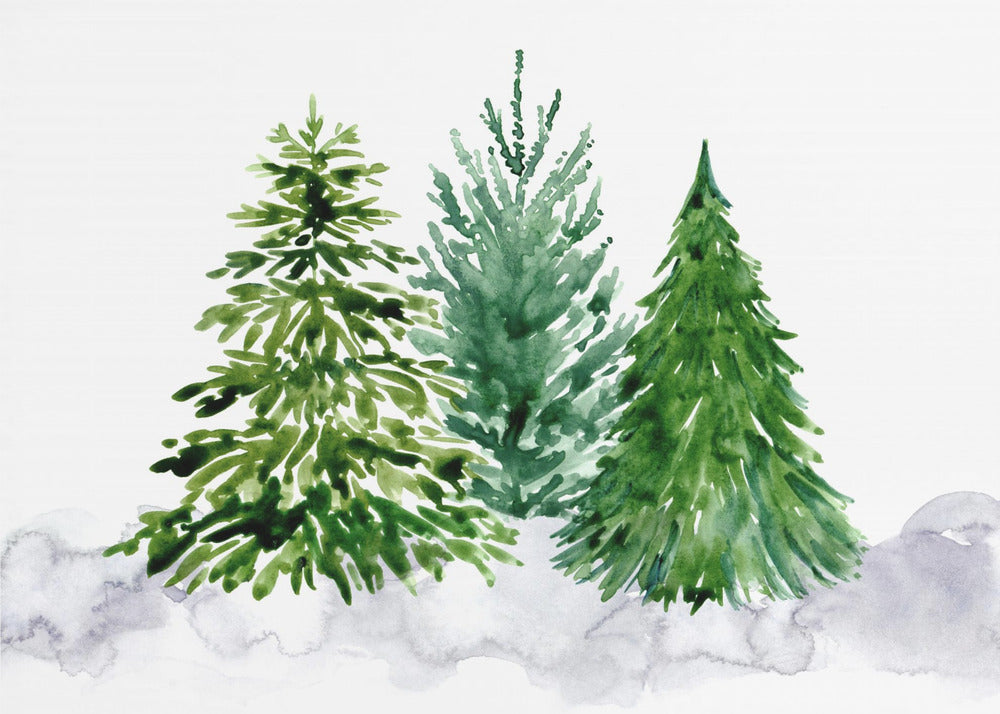 Plakat - Three watercolor pine trees