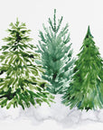 Plakat - Three watercolor pine trees