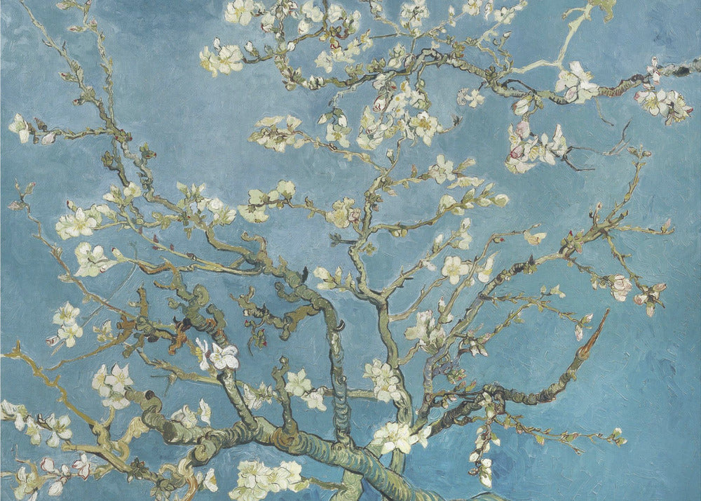 Poster - Vincent Van Gogh&#39;s Almond Blossom (1890)