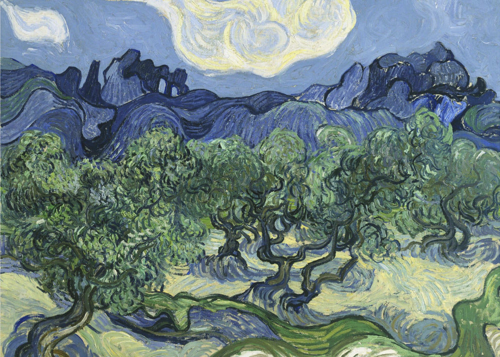 Poster - Vincent Van Gogh&#39;s Olive Trees With the Alpilles In the Background (1889)