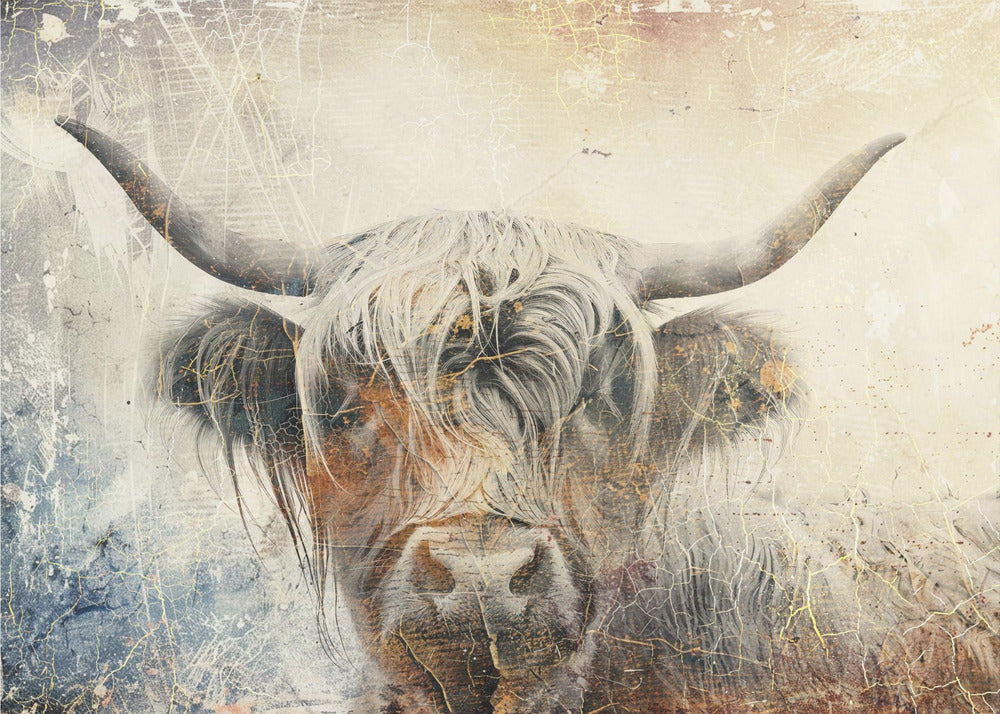 Plakat - Cow Highland Illustration Art 01