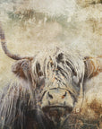 Poster - Cow Highland Illustration Art 03