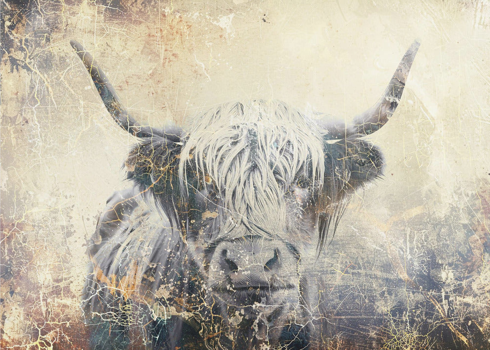 Plakat - Cow Highland Illustration Art 04