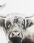 Poster - Cow Highland Illustration Art 06