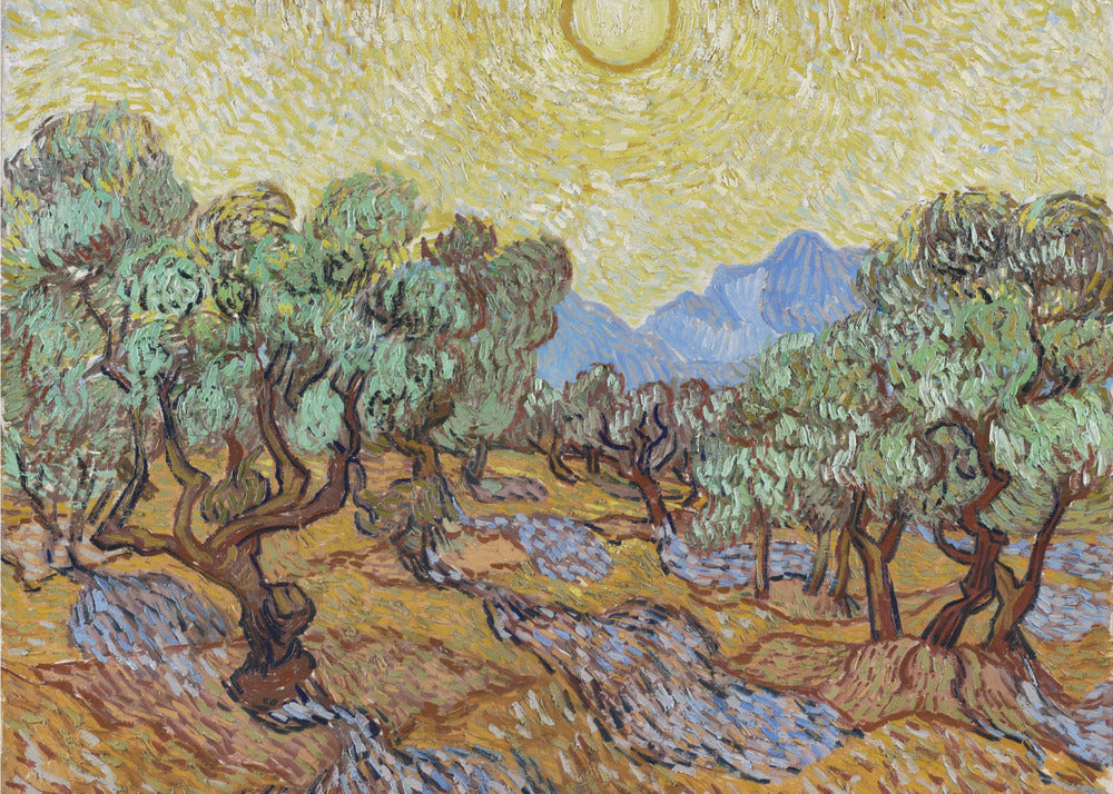 Plakat - Vincent Van Gogh&#39;s Olive Trees (1889)