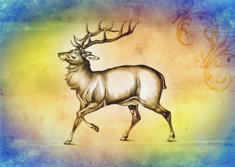 Poster - Red Deer 5