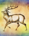 Poster - Red Deer 5