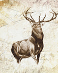 Plakat - Red Deer 12