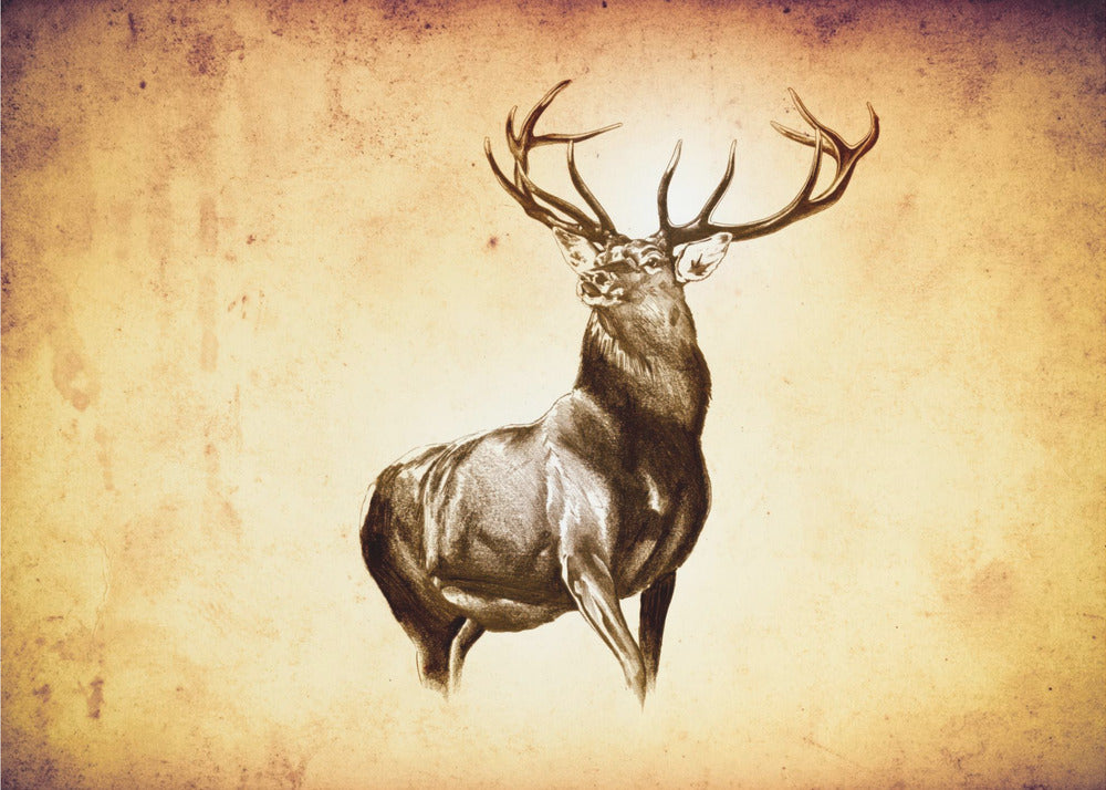 Poster - Red Deer 11