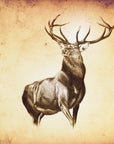 Plakat - Red Deer 11