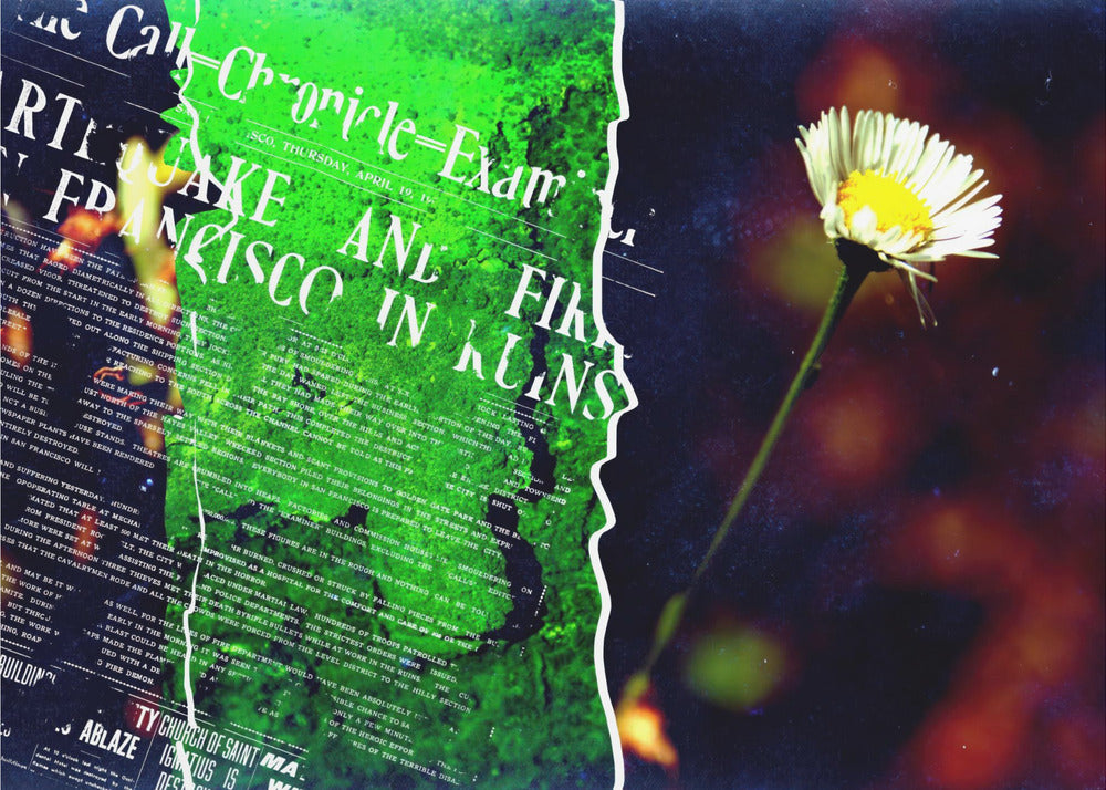 Plakat - Collage Flower and text