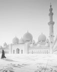 Plakat - Sheikh Zayed Mosque