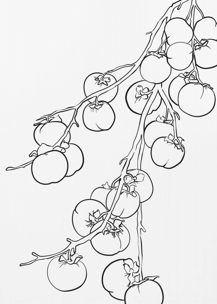 Plakat - Branch of persimmons