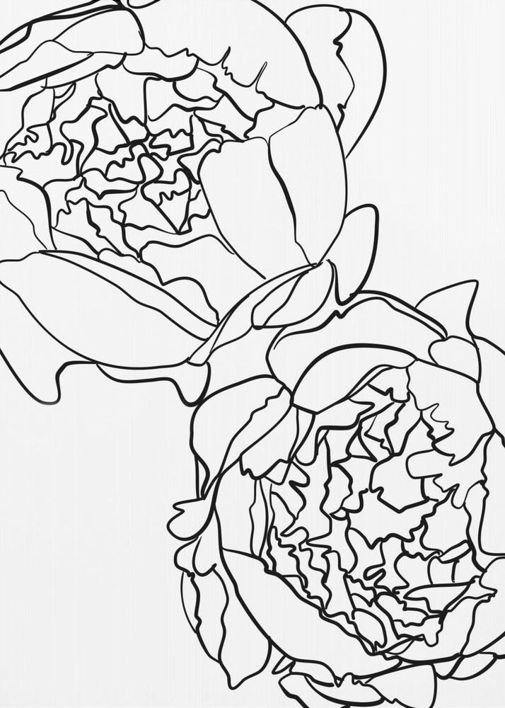 Poster - Sally&#39;s peonies in black and white