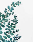 Poster - Teal watercolor eucalyptus II