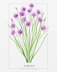 Poster - Chives II