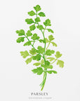 Poster - Parsley I