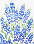 Poster - Watercolor Texas bluebonnets