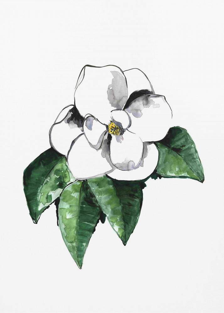 Plakat - White magnolia