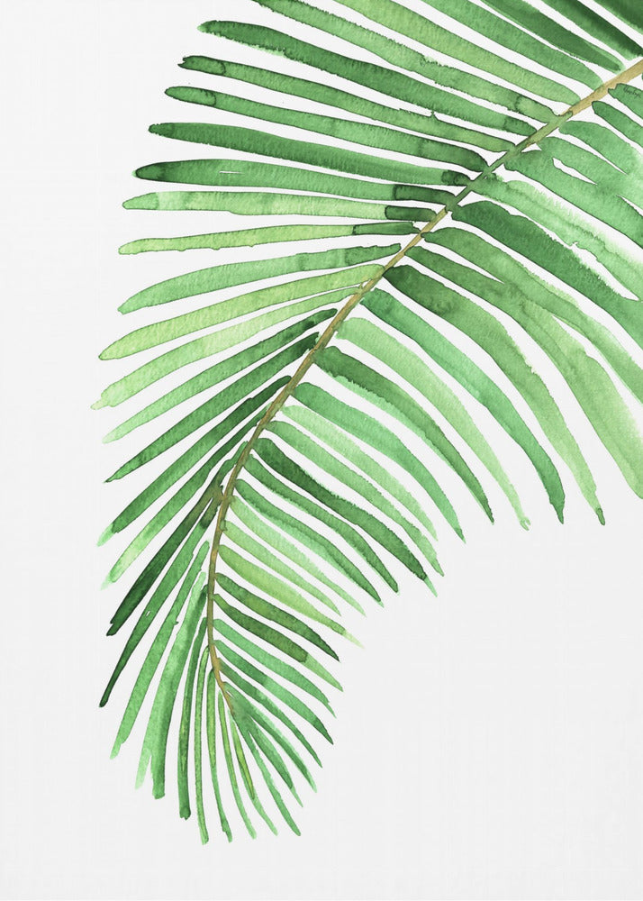 Poster - Palm leaf in loose watercolor