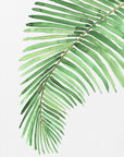 Poster - Palm leaf in loose watercolor