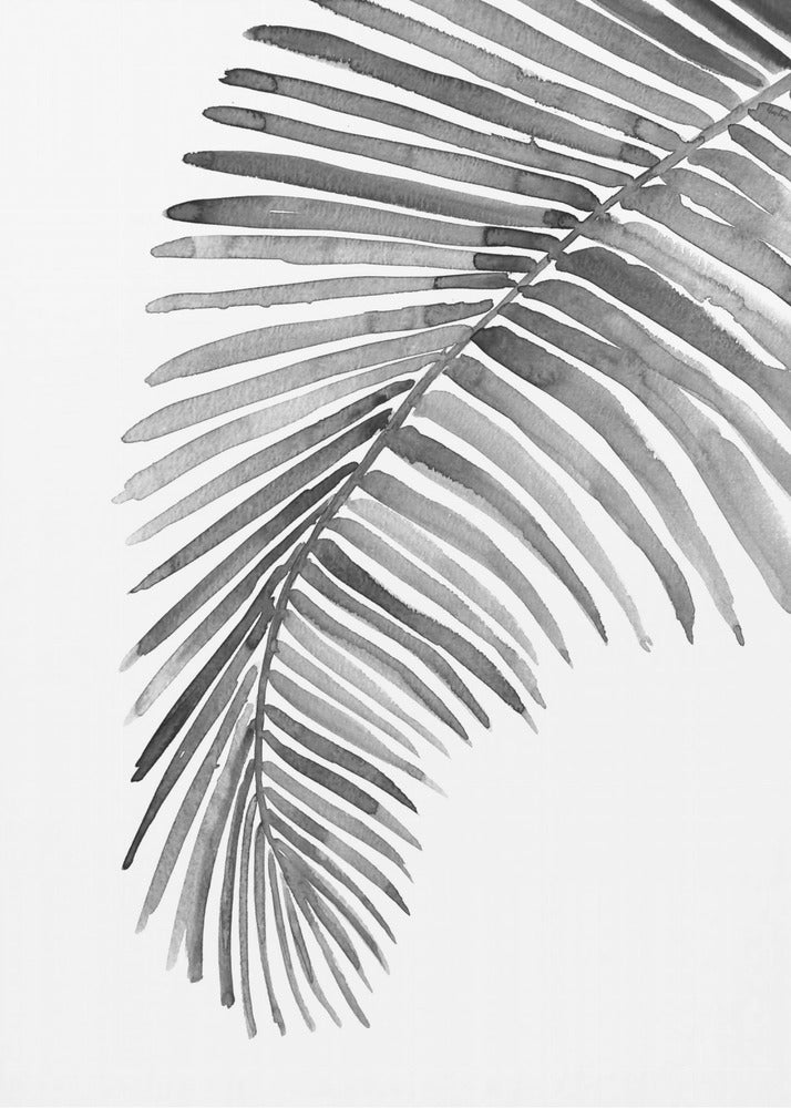 Plakat - Palm leaf in loose watercolor bw