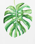 Poster - Monstera leaf