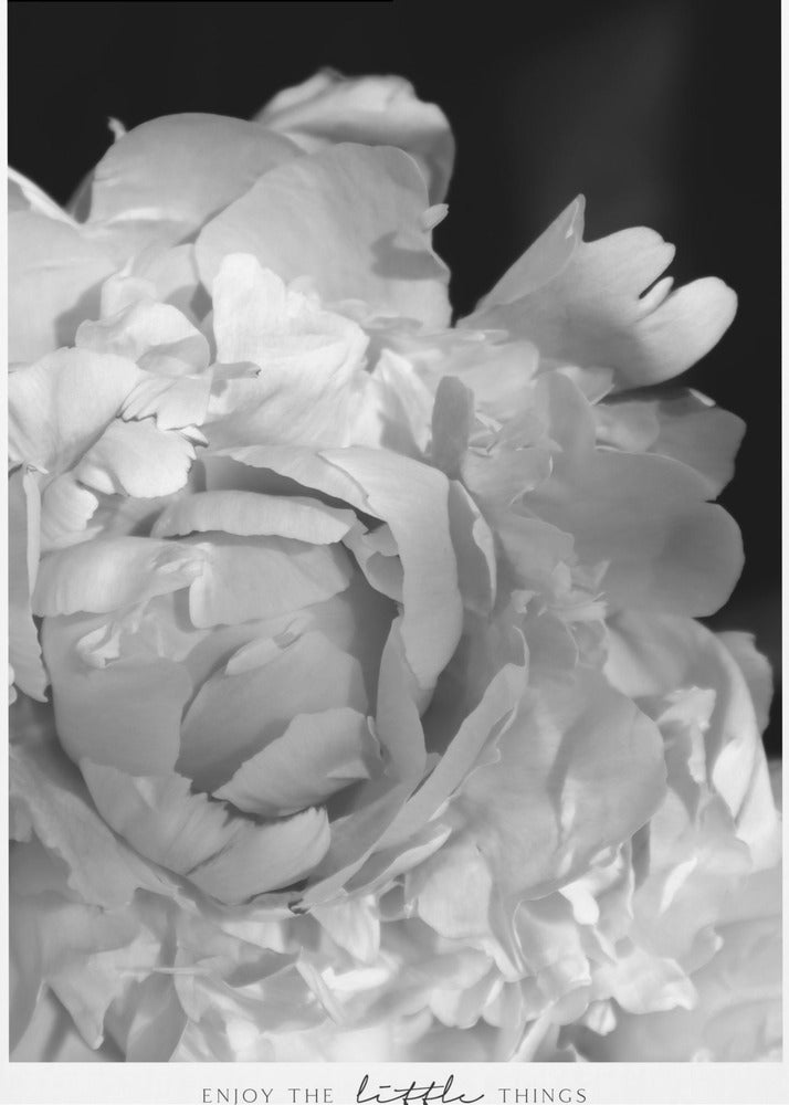 Poster - Enjoy the little things peony BW