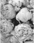 Poster - Smile and dream peonies BW