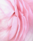 Poster - Soft pink petals