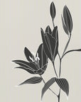 Poster - Line art lillies in black