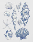 Plakat - Shell Collage