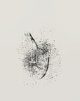 Plakat - Brush splatters 