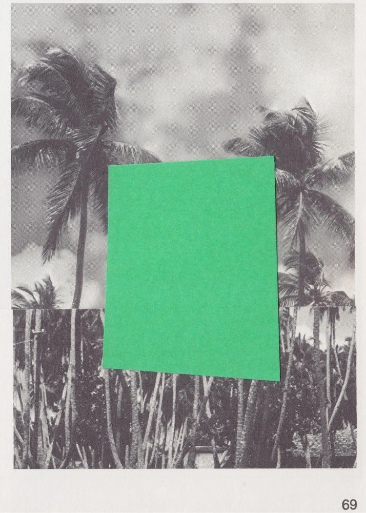 Plakat - Page 69 / Palm Trees