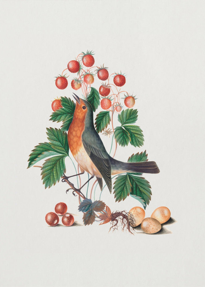 Plakat - European Robin and Wild Strawberry