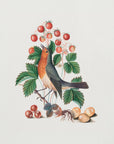 Plakat - European Robin and Wild Strawberry