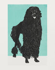 Poster - Poodle