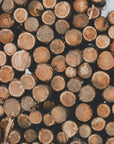 Poster - Wood Logs 02