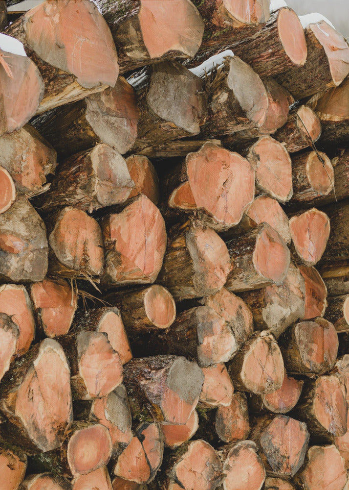 Poster - Wood Logs 01